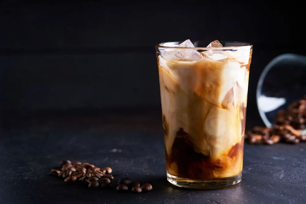 Mocha Iced Coffee - Stayabove Nutrition™